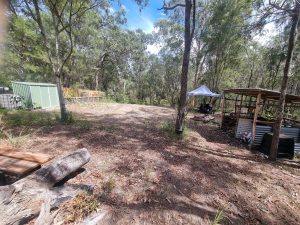 tbarclay_86_639-Macleay-Island-2026-02-26-105228-5