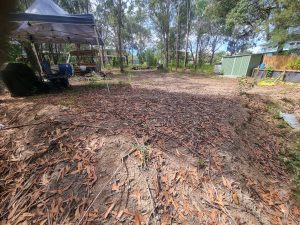 tbarclay_86_639-Macleay-Island-2026-02-26-105228-6