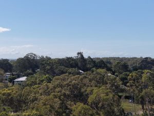 tbarclay_86_684-Macleay-Island-2026-04-07-053316-1