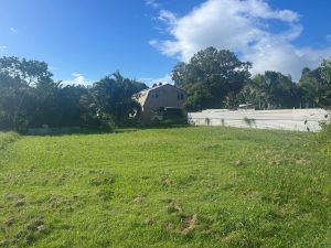 tbarclay_86_710-Macleay-Island-2026-04-23-050200