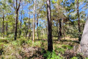 2 Canopy Cres, Russell Island, QLD 4184