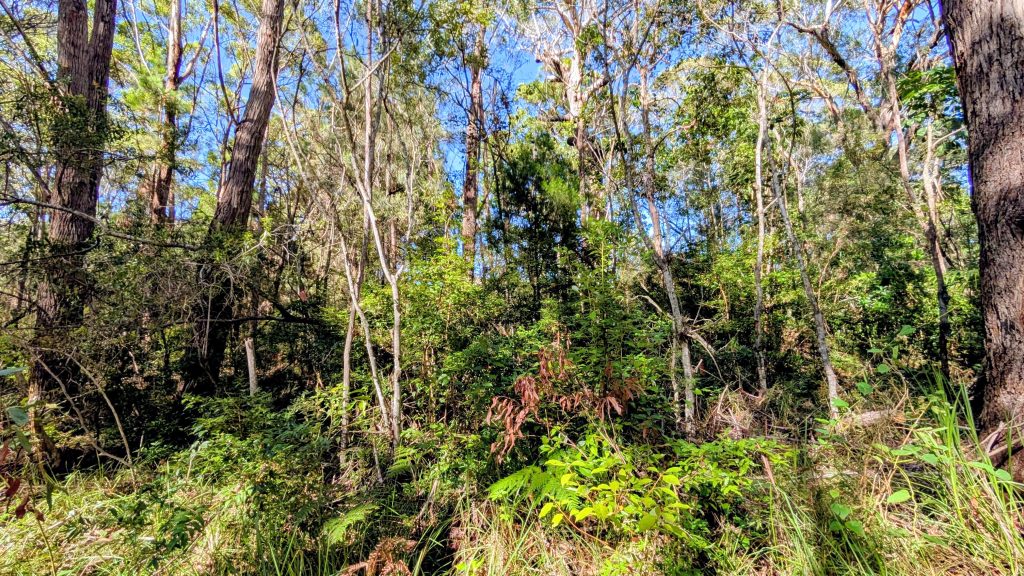 14 Borrows Street, Russell Island, QLD 4184