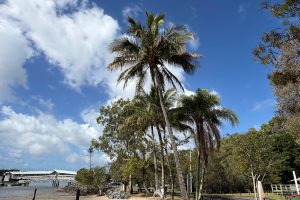 38 Noyes Parade, Karragarra Island, QLD 4184