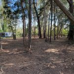 15 Hawthornden Dr, Russell Island, QLD 4184