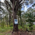 45 Grove Rd, Russell Island, QLD 4184