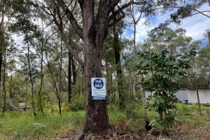 45 Grove Rd, Russell Island, QLD 4184