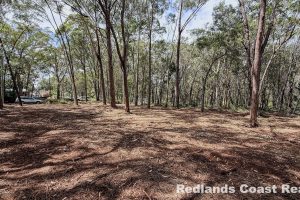 3 Canopy Crescent, Russell Island, QLD 4184