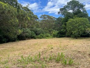 8_2371-691d5e60154f7