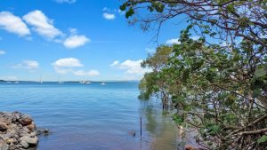 DJI_0681_5467-699819e7bcbbe