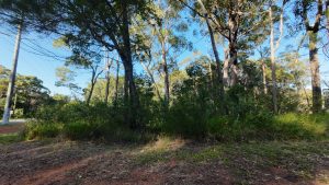 DJI_20260419074341_0016_D_5368-69e4b45e0b7b4
