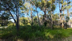 DJI_20260419074358_0017_D_5370-69e4b45e3f512