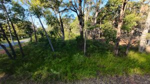 DJI_20260419074447_0021_D_5376-69e4b45e6f6fa