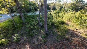 DJI_20260419074539_0023_D_5380-69e4b45ea1967