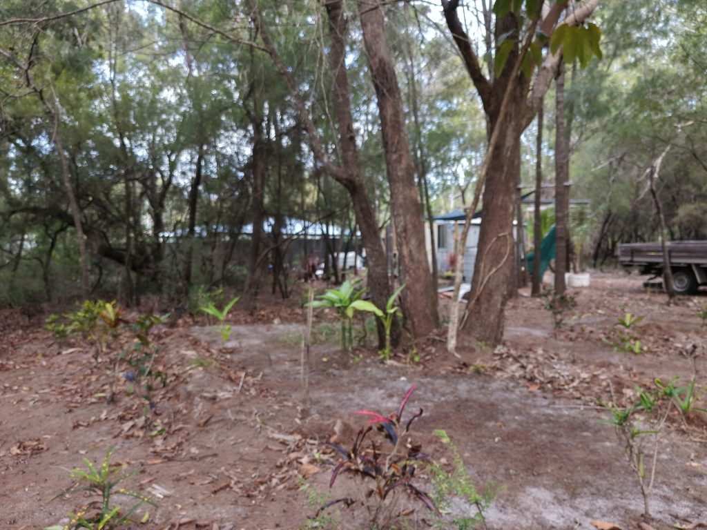 11 Dickenson Drive, Russell Island, QLD 4184