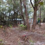 11 Dickenson Drive, Russell Island, QLD 4184