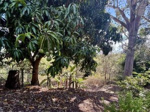 IMG_5683_9841-691290ac6c449