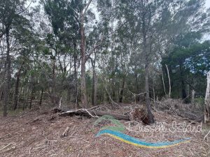 Photo8_5695-6a13b26d51de4