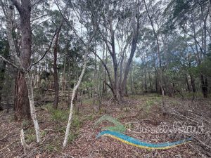 Photo9_5696-6a13b26d6815b