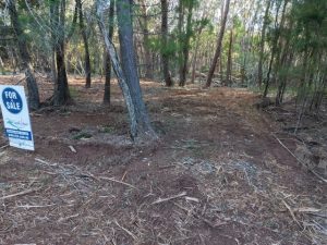 Photo9_5696-6a13b26d6815b