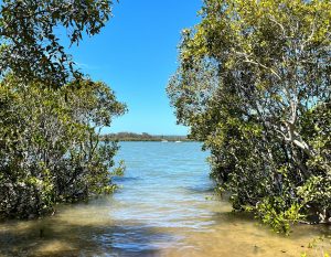 Water_9163_9878-685216232ff68
