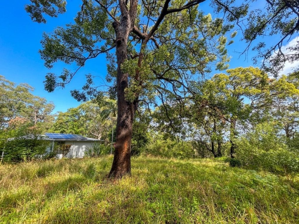 10 Deenya Parade, Russell Island, QLD 4184