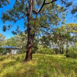 10 Deenya Parade, Russell Island, QLD 4184