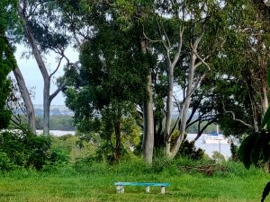pic_2_7332-6a0539c90d8b8