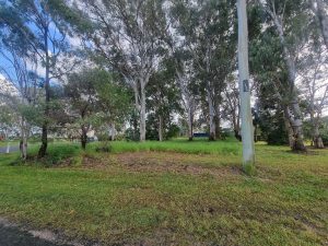 pic_3_7334-6a0539c93093e