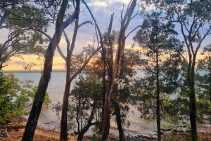 9 Coast Rd, Macleay Island, QLD 4184