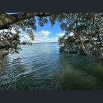 35 Piccaninny St, Macleay Island  QLD  4184