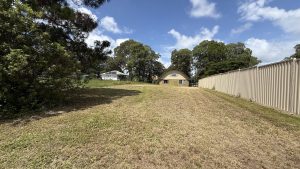 tbarclay_86_726-Lamb-Island-2026-05-05-061053