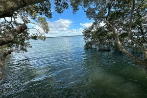 35 Piccaninny St, Macleay Island, QLD 4184