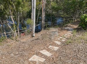 water_back_yard_6933-69e94bd744d06
