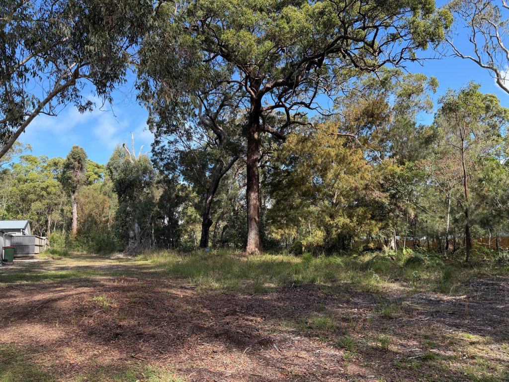 22 Falconhurst Road, Russell Island, QLD 4184