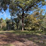 22 Falconhurst Road, Russell Island, QLD 4184
