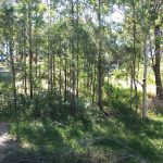 10 Eyre Court, Russell Island, QLD 4184