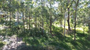 listing_photo_3_8910-6a1bda7d58b55