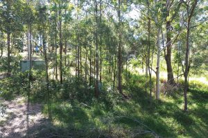 10 Eyre Court, Russell Island, QLD 4184