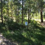 10 Eyre Court, Russell Island, QLD 4184