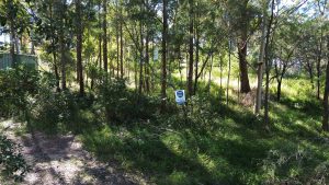 listing_photo_3_8910-6a1bda7d58b55