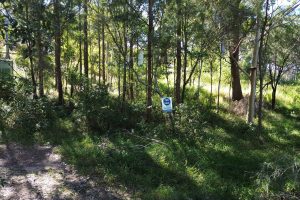 10 Eyre Court, Russell Island, QLD 4184