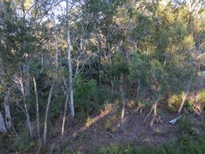 DJI_20260605073741_0014_D_6170-6a220cf4da95e