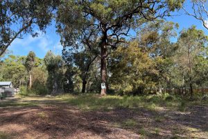 22 Falconhurst Road, Russell Island, QLD 4184
