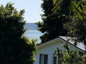 view_5239-6a220e2fc7a6b