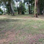 16 Arthur Street, Macleay Island, QLD 4184