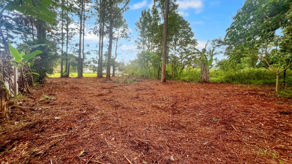 16 Jordan Street, Macleay Island, QLD 4184