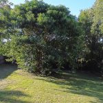 25 Oomool Street, Macleay Island, QLD 4184