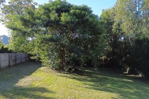 25 Oomool Street, Macleay Island, QLD 4184