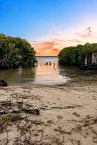 beach_3209-6a55e5b1428b1