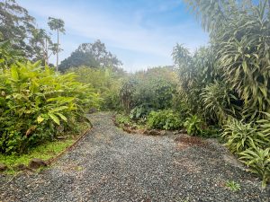 Gardens_3372-6a5dab75024d9